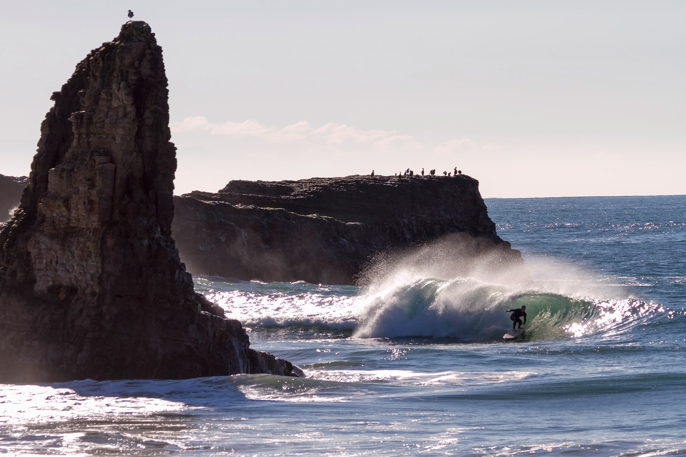 Cj Nelson CHVRN Surfboards